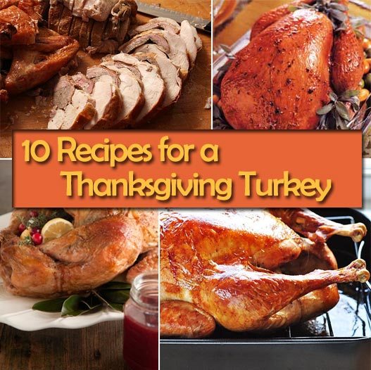 10 Recipes for How to Cook a Turkey